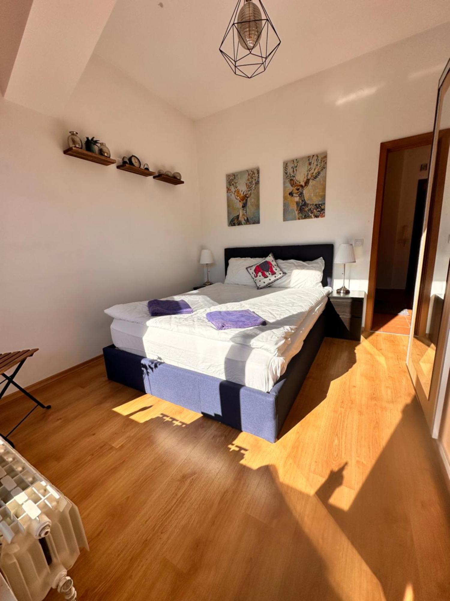Pm Services Semiramida Apartments Borovets Extérieur photo
