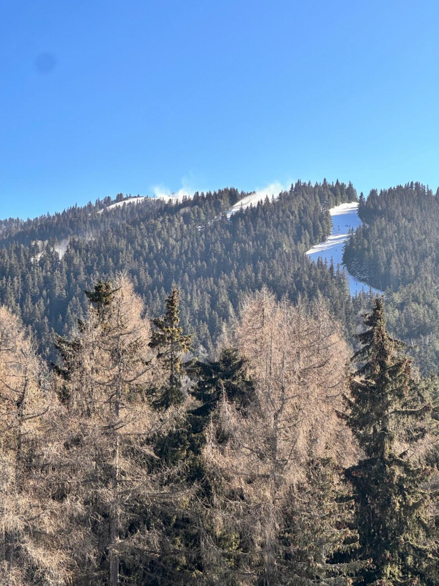 Pm Services Semiramida Apartments Borovets Extérieur photo